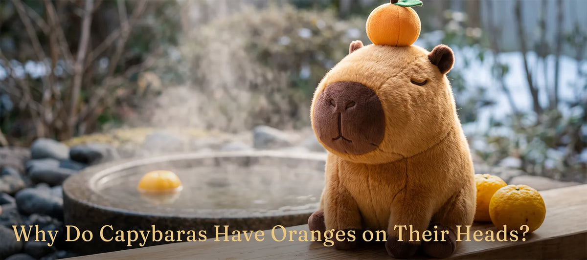 Capybara plush with an orange on its head beside a steaming hot spring bath with floating yuzu